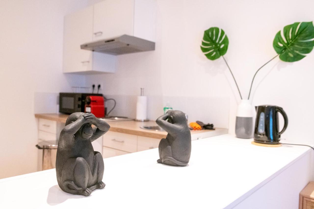 Cosy Location - Confortable, Cosy Et Equipe - Places Gratuites A Proximite Anzin Ngoại thất bức ảnh